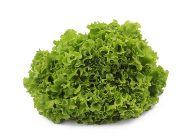 Салат романо 1 кг - купить в Сангишах